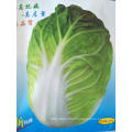 Chinese leaf  vegetable bakchoy pakchoy cabbage seeds